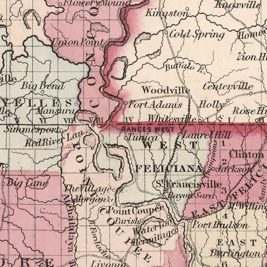 Vintage Map of Louisiana 1861
