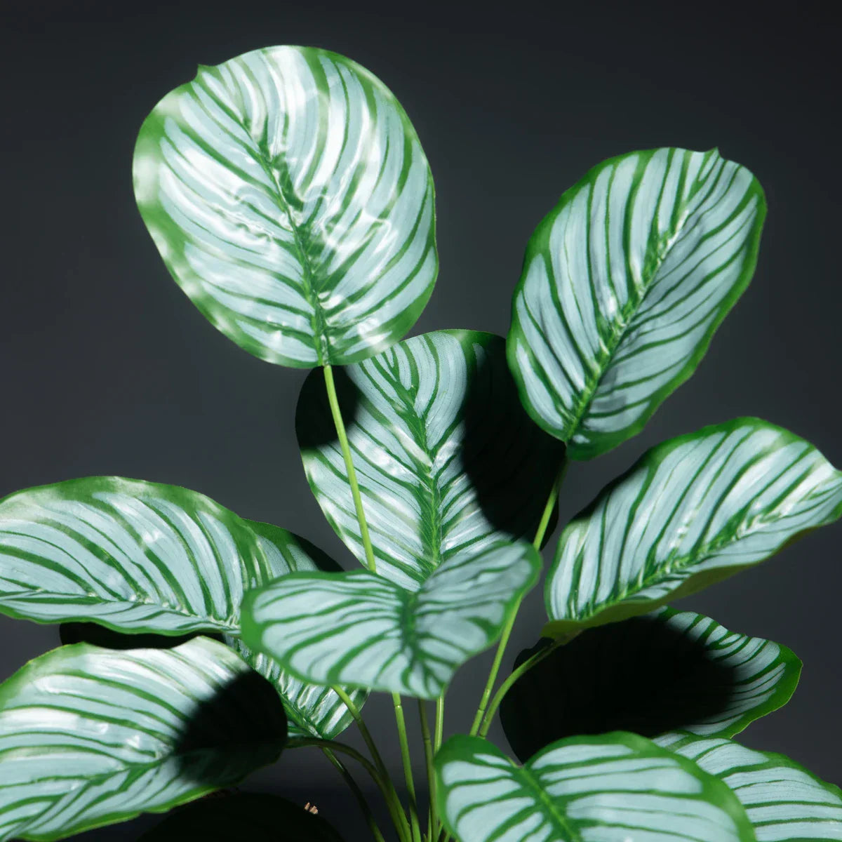 Dlight Decor Monstera Palm Branch for Tropical Home Styling